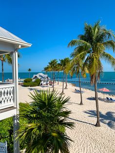 palm trees line the beach in front of an oceanfront hotel with white sand and blue water