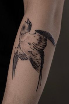 a black and white bird tattoo on the arm