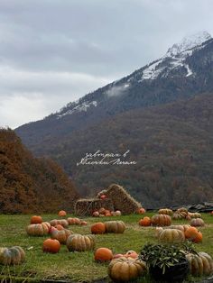 pumpkins and hay bales on the ground in front of a snowy mountain range