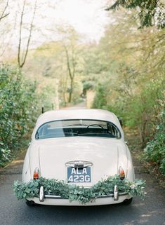 an old white car with greenery on the front