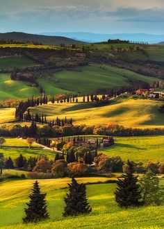 the rolling hills are covered in trees and grass