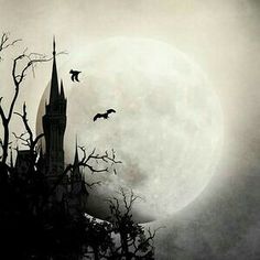 a castle with bats flying in front of the moon