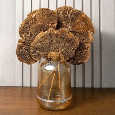 Dried Mushroom Brown Set Centerpiece Arrangements, Mushroom Brown, Decorative Elements, Nature Inspired, Nature Inspiration