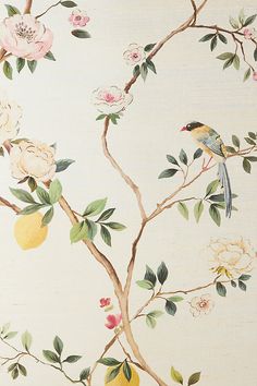 a bird sitting on top of a tree branch next to flowers and lemons with leaves