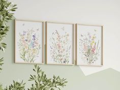 three framed paintings on the wall above a potted plant in front of two green walls