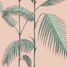 a palm tree with green leaves on a pink background