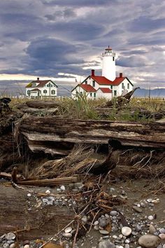 a white and red light house sitting on top of a beach next to a fallen tree