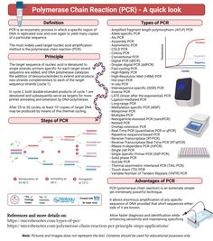 Polymerase Chain Reaction (PCR) Polymerase Chain Reaction Notes, Polymerase Chain Reaction, Pcr Technique, Biochemistry Notes, Organic Chemistry Study