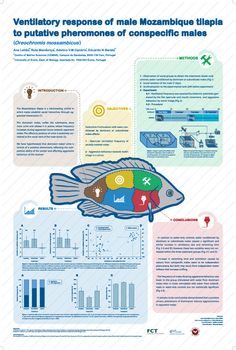 an info poster with information about the different types of fish and how they can help them