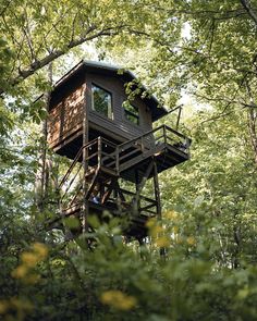 a tree house in the middle of some trees with lots of green leaves on it