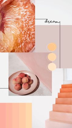 an orange and pink color scheme with different shades