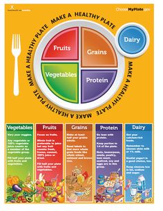 My Plate Handouts in Tearpad Use the My Plate Color Handout Tearpad for any occasion -- it's a great accompaniment to food posters and food group guides. Each tearpad contains 50 sheets and features full color on the front and black and white on the back. Front side: Choose MyPlate with colorful food groups. Now your audience will understand how to eat enough from the My Plate food groups. AND their foods will be in the right portions and proportions. Back side: Food group information - let's ge National Nutrition Month, Healthy Plate, Health And Physical Education, Nutrition Month, Nutrition Sportive, My Plate, Food Pyramid, Nutrition And Dietetics