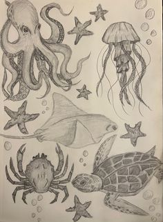 an octopus, jellyfish, starfish and sea animals are depicted in this drawing