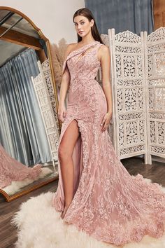 Lace Long Gown, Fitted Gowns, Prom Dresses Long Lace, Cinderella Divine, Short Dress Styles, Lace Evening Gowns, Lace Mermaid, Stunning Gowns, Floral Lace Dress