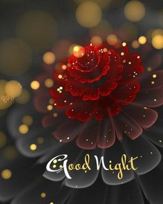 a red flower with the words good night on it's center surrounded by lights