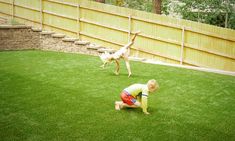 two young children playing in the grass near a fence