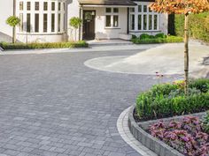 a driveway with flowers and trees around it