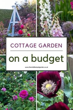 From empty space to brilliant cottage garden - on a shoestring budget. Lots of clever recycling ideas plus tips for keeping plant costs down. If you love cottage gardens, don't miss this 🌻🌲❤️😍 Garden On Budget, Simple Cottage Garden Ideas, Low Maintenance Garden Ideas On A Budget Uk, Narrow Cottage Garden, Beautiful Cottage Gardens, Small Cottage Garden Ideas On A Budget, Cottage Garden Trellis, How To Plan A Cottage Garden, Cottage On A Budget