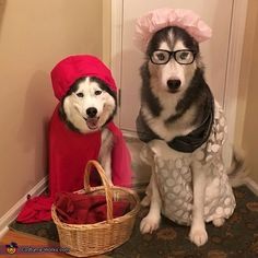 two dogs dressed up in costumes sitting on the floor next to a basket and door