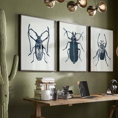 three framed pictures hang on the wall above a desk with a cactus in front of it