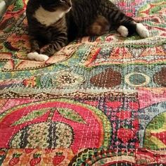 a cat sitting on top of a colorful quilt