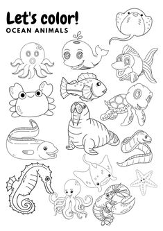 an ocean animal coloring page with the words let's color