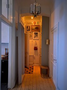 an empty hallway leading to the kitchen and dining room in a house with wood flooring