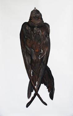 a drawing of a black bird sitting on top of a branch with its wings spread