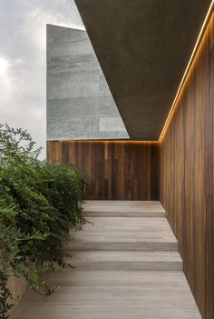 the stairs are lined with plants and wood