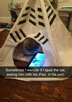 a cat sitting in a teepee looking at a cell phone with the caption, parfois je me demande si jegie gate trop mon chat quand