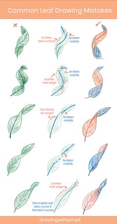 the steps to drawing leaves with colored pencils