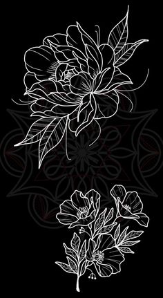 two white flowers on a black background with red and white lines in the bottom right corner