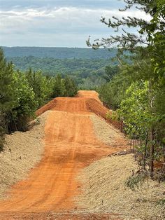 a dirt road surrounded by trees and bushes