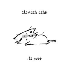 a drawing of a cat with the caption stomachache it's over