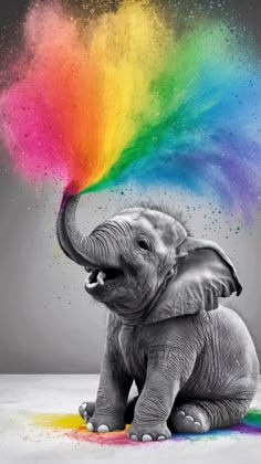 an elephant sitting in front of a rainbow colored cloud