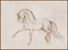 a pencil drawing of a horse running