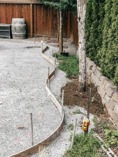 an empty backyard with trees and gravel in the foreground, next to a fire hydrant