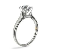 a white gold engagement ring with two diamonds on the side