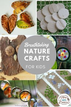 some crafts that are made with natural materials and the words, breathtaking nature crafts for kids