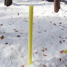 a yellow pole is in the snow near some trees