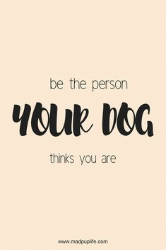 a quote that says, be the person your dog thinks you are