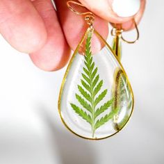 Ferns are just the best. So simple and so beautiful. These large fern teardrop earrings are simple, yet eye catching- and perfect for everyday wear.These are extremely lightweight, and are perfect for you nature lovers. We've carefully preserved these ferns in high quality plant based  resin so that they will never wilt or fade.The frame on these are approx 47x30mmThe frame is high quality gold or silver  plated brass and the fish hooks are safe for sensitive ears.All of our jewelry is nickel fr Terrarium Earrings, Pressed Fern, Earrings Real, Botanical Earrings, Fish Hooks, Cute Box, The Fish, Crystal Points, Sensitive Ears