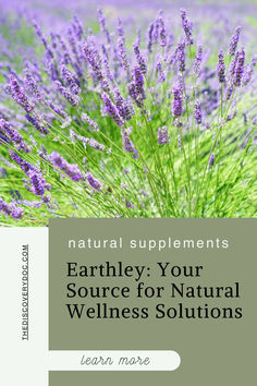 Earthley: Your Source for Natural Wellness Solutions By Dr. CeCe Brooks | The Discovery Doc | Non-Toxic Living & Optimizing Health | Functional Medicine Practitioner | Atlanta, GA. Natural supplements focused on gut health, detoxification, vitamins and minerals, immune support, pregnancy, postpartum hormones, newborns/infant care, and herbal remedies for acute situations. Shop now! organic lifestyle, health and wellness, natural self-care, eco-friendly products, wellness and vitality Postpartum Hormones, Infant Care, Yoga Guide, Organic Lifestyle, Lifestyle Health, Wellness Routine, Spiritual Wellness