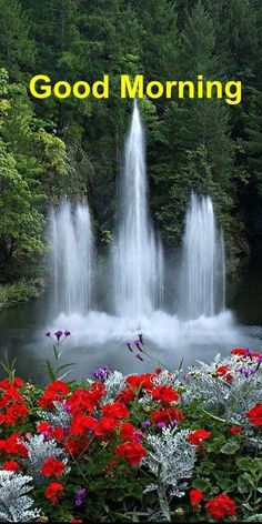 the words good morning are in front of a fountain with red and white flowers around it