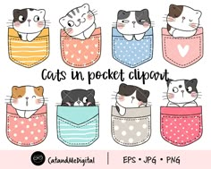 cats in pocket clipart set