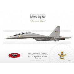 Indian Fighter Planes, Indian Airforce, Military Graphics, Air Force Special Operations, Contemporary History, Indian Air Force