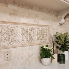 two potted plants sit on the counter in front of a white tile backsplash