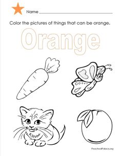 an orange color the pictures that can be changed to include carrots, butterfly and cat