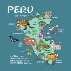 the map of peru with animals, birds and other things on it's side