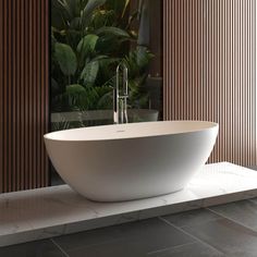 a large white bath tub sitting on top of a bathroom counter next to a plant